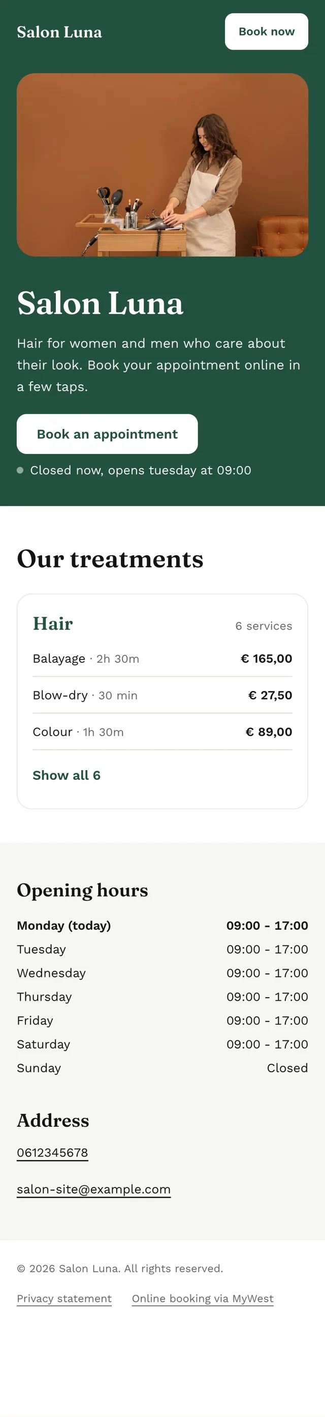 Vlastni rezervacni stranka bez webu: Barva salonu
